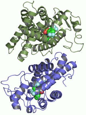 Image Asym./Biol. Unit - manually