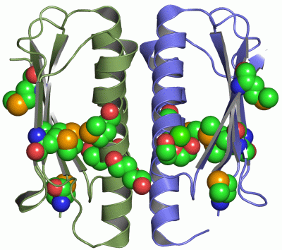 Image Asym./Biol. Unit - manually