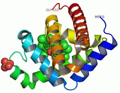 Image Asym./Biol. Unit - manually