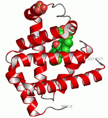 Image Asym./Biol. Unit - manually