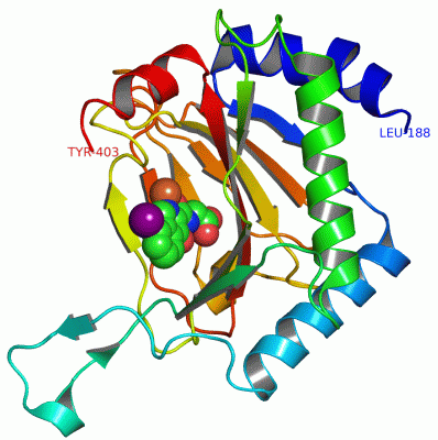 Image Asym./Biol. Unit - manually