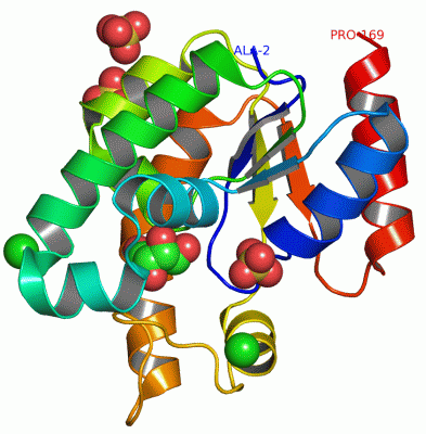 Image Asym./Biol. Unit - manually