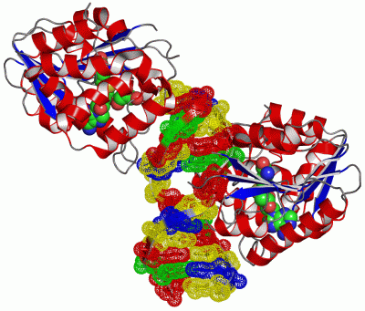 Image Asym./Biol. Unit - manually