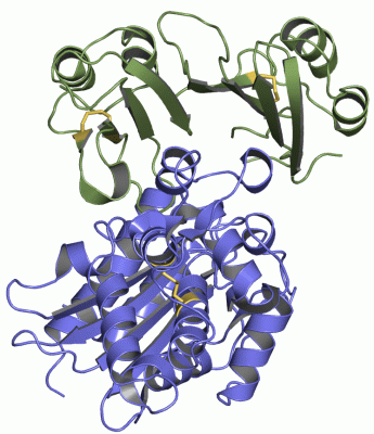 Image Asym./Biol. Unit - manually