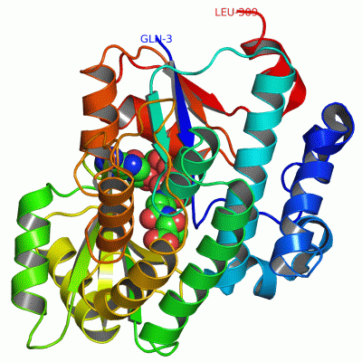 Image Asym./Biol. Unit - manually