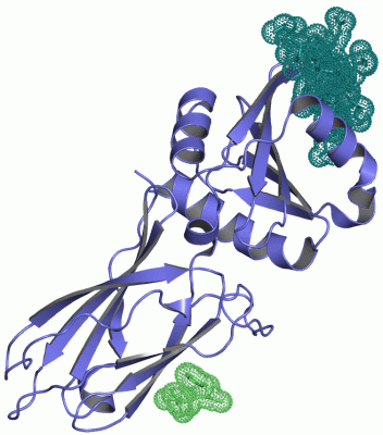 Image Asym./Biol. Unit - manually