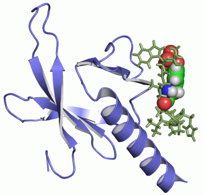 Image NMR Structure - manually