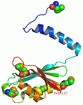 Image Asym.Unit - manually