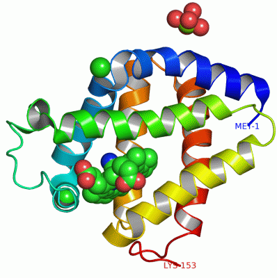 Image Asym./Biol. Unit - manually