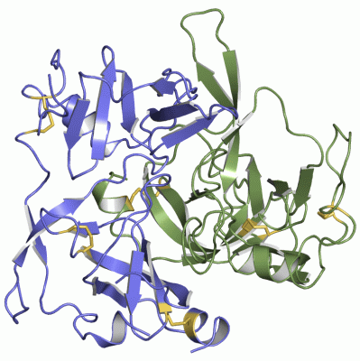 Image Asym./Biol. Unit - manually