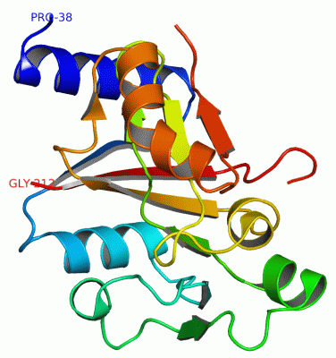 Image Asym.Unit - manually