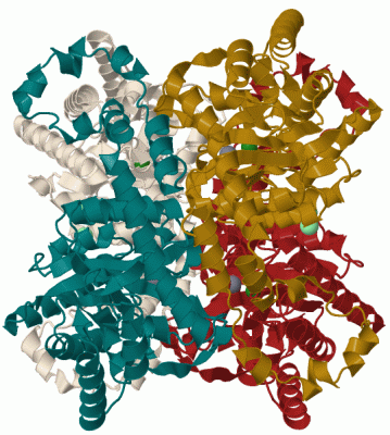 Image Biol.Unit 1 - manually