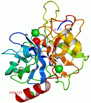 Image Asym./Biol. Unit - manually