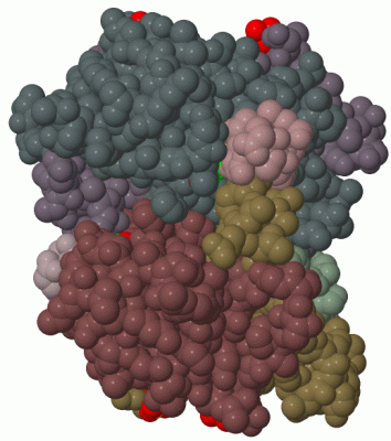 Image Biol.Unit 1 - manually