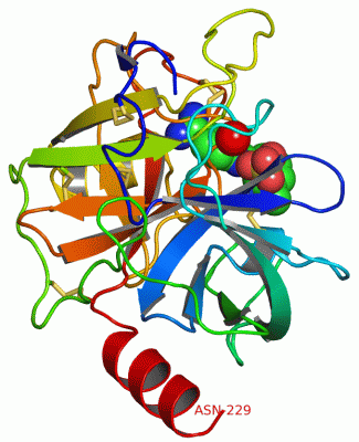 Image Asym./Biol. Unit - manually