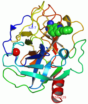 Image Asym./Biol. Unit - manually