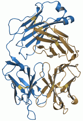 Image Asym./Biol. Unit - manually