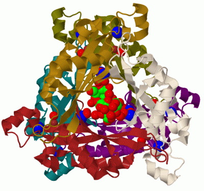 Image Biol.Unit 1 - manually