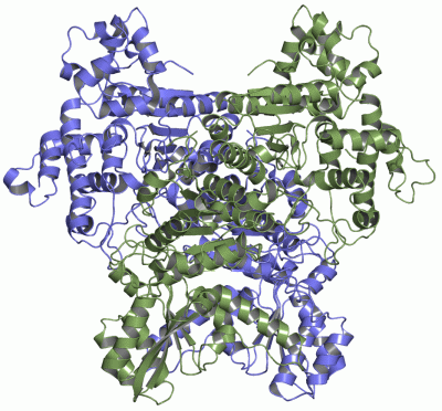 Image Asym./Biol. Unit - manually