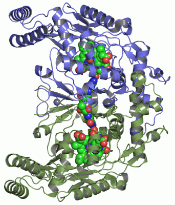 Image Asym./Biol. Unit - manually