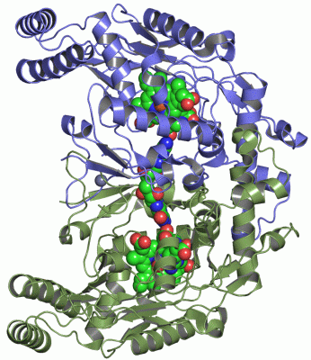 Image Asym./Biol. Unit - manually