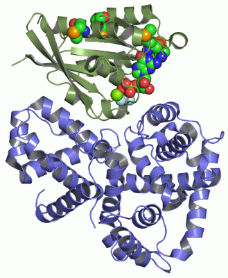 Image Asym./Biol. Unit - manually