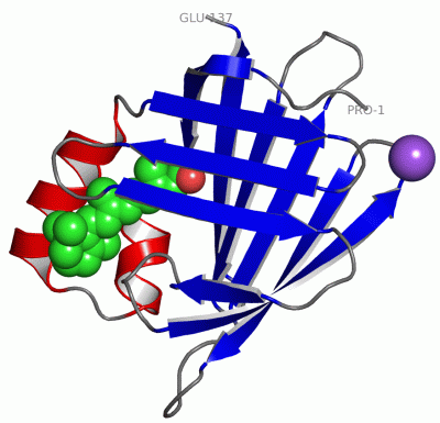 Image Asym./Biol. Unit - manually