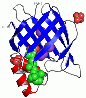 Image Asym./Biol. Unit - manually