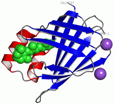 Image Asym./Biol. Unit - manually