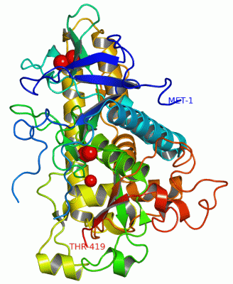 Image Asym./Biol. Unit - manually