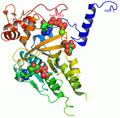 Image Asym./Biol. Unit - manually