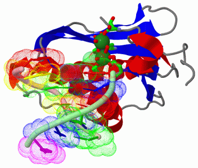 Image Asym./Biol. Unit - manually