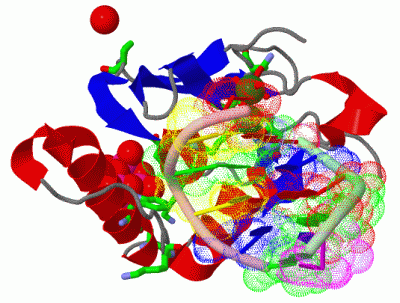 Image Asym./Biol. Unit - manually