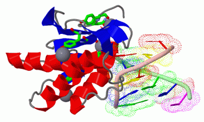 Image Asym./Biol. Unit - manually