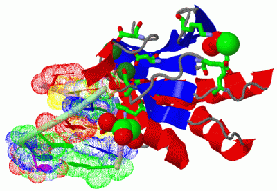 Image Asym./Biol. Unit - manually