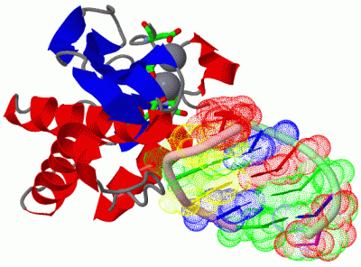 Image Asym./Biol. Unit - manually