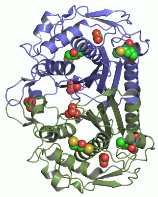 Image Asym./Biol. Unit - manually