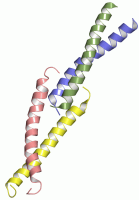 Image NMR Structure - manually