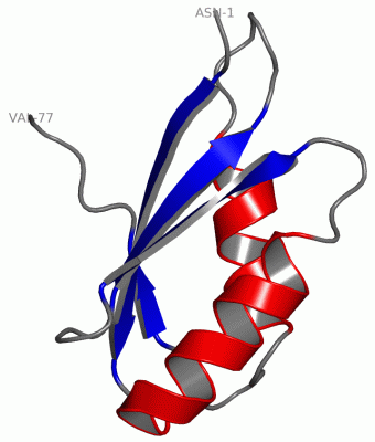 Image NMR Structure - manually