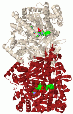 Image Biol.Unit 1 - manually