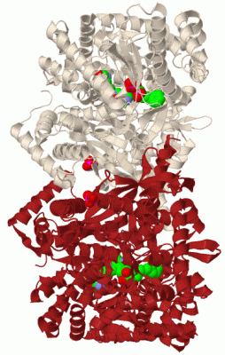 Image Biol.Unit 1 - manually