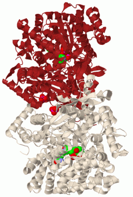 Image Biol.Unit 1 - manually