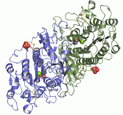 Image Asym./Biol. Unit - manually