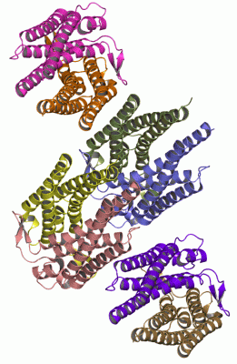 Image Asym.Unit - manually