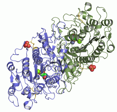 Image Asym./Biol. Unit - manually