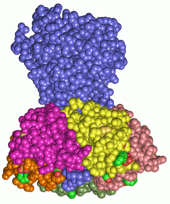 Image Asym./Biol. Unit - manually