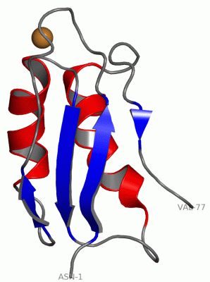 Image NMR Structure - manually