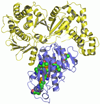 Image Asym./Biol. Unit - manually