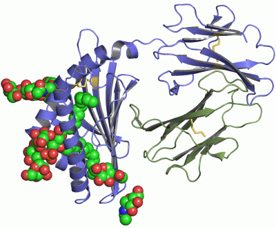 Image Asym./Biol. Unit - manually