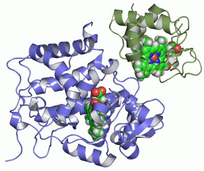 Image NMR Structure - manually